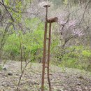 화전민촌 이미지