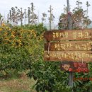 우프동물농장 이미지