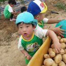 지우농원 이미지