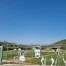 하빛율빠꿈사리 이미지