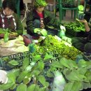 엑스포트㈜ 이미지