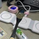 백두산 신기시장본점 이미지