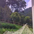 좌구산자연휴양림 이미지