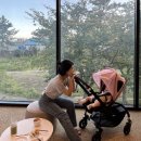 2022-주175 이미지