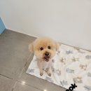 부천볼트 이미지