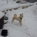 산골마당 이미지