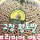흑돈92