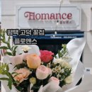 플로맨스