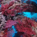 동해시-25 이미지