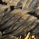 면목동-188 이미지