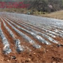 도장골천 이미지