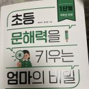 봉봉STEAM - 제주시 인다13길 46 | 봉봉STEAM