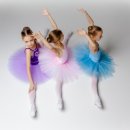 라푸앙트발레학원 이미지