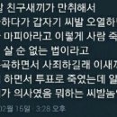 도리무란도 네이버블로그