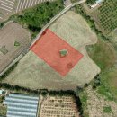 상예동-15 이미지