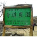 청도농원