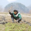 용운태권도 이미지