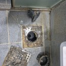 파크크리닝 | 수원시 권선구 입주청소 전문 후기｜아주리센테라스파크 전체 클리닝