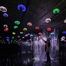 (주)거상 수출산업 | 2025 제천국제 한방 천연물 산업엑스포 개막식 10월 가을 축제 가볼만한곳 관람 꿀팁