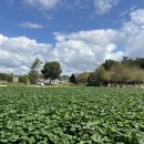 유실목장 이미지