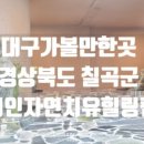 천지인자연치유힐링캠프