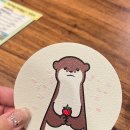 초로초로