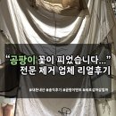 성공세탁 | 텐트곰팡이 완벽 제거 성공! 청주 텐트세탁플러스 내돈내산 후기