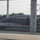 G1228 이미지