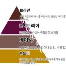 푸루샤(purusa) | 카스트 제도를 비판한 초기 불교의 가르침_1, "힌두교 카스트 제도의 의미는 무엇일까" <에큐메니안...