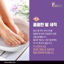 레푸스 경대점 이미지