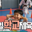 153태권도장 이미지