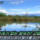 사노교