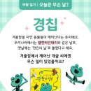 아람북스 이미지