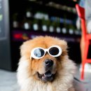 웃으면복이와요 이미지