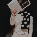 까멜리아 이미지