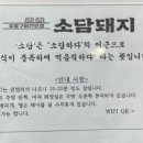 소담돼지 이미지