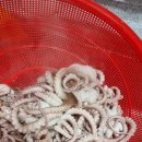 무릉도원면-13 이미지