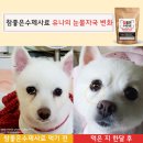 유나펫 이미지