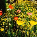 삼박농장 이미지