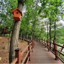 운중로225번길 이미지