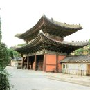 창경궁 홍화문 옆 Daum카페