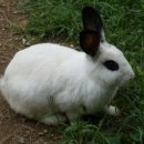 서리풀길 9 이미지