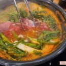 미모사패션 이미지