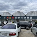 팥꽃나무집