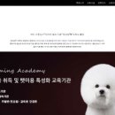 애견미용 이미지