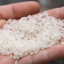 황산농협미곡처리장 이미지