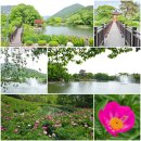 경남 영산 연지못과 공원 이미지