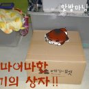 에밀리펫 | [햄스터] '에밀리펫' 1번째 후기