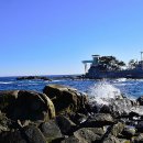 동해바다 1 이미지