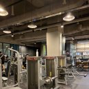 헬스 스타짐 이미지